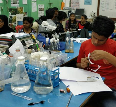 Simple Model Systems and Research as a Context to Biology Curriculum ...