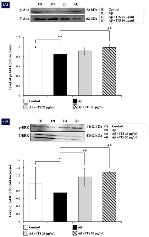The Neuroprotective Potential of Seed Extract from the Indian Trumpet ...