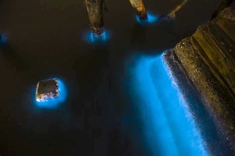 30 reasons why we need to save the environment | Femina.in