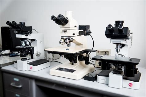 Optical Microscopes - Science & Engineering Shared Facilities ...