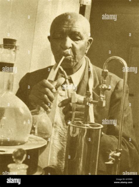 Dr. George Washington Carver at work in his laboratory in the 1940's. George Washington Carver ...