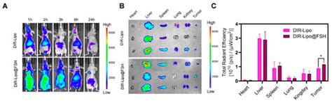 Synergistic Effects of Chemotherapy and Phototherapy on Ovarian Cancer ...