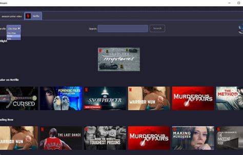 Image result for Onstream Video Downloader