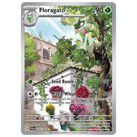 Buy Authentic Pokémon Cards in India | Cardly