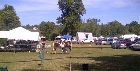 Image result for Prepper Camp