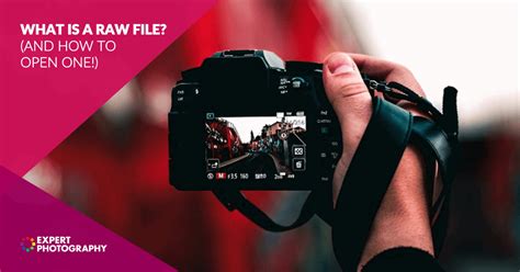 Image result for Raw File Extractor