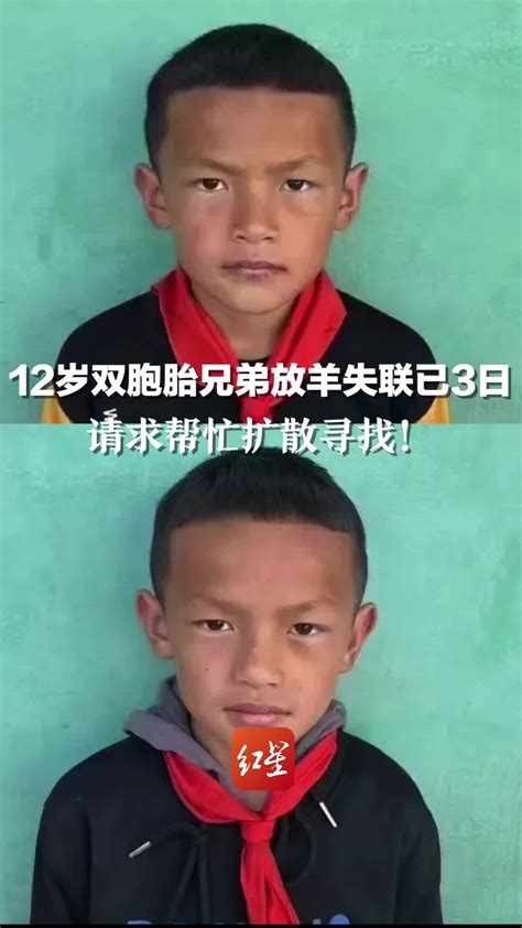 请求帮忙扩散寻找！云南大理12岁双胞胎兄弟放羊失联已3日，至今下落不明_凤凰网视频_凤凰网