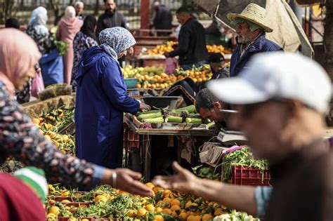 Moroccan exporters deny vegetable price hikes linked to African demand