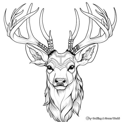 Realistic Whitetail Deer Coloring Pages Deer Pencil Drawing Print,