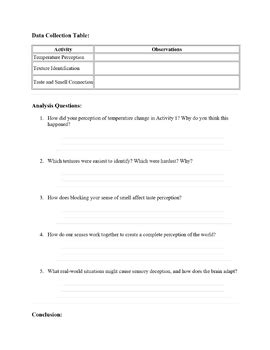 Image result for Objective Perception Experiment