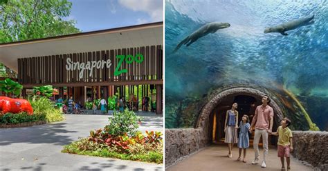 Singapore Zoo Tickets