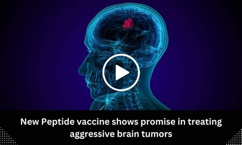 New Peptide vaccine shows promise in treating aggressive brain tumors