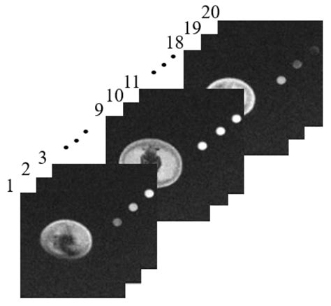 Investigation of the Maturity Changes of Cherry Tomato Using Magnetic ...