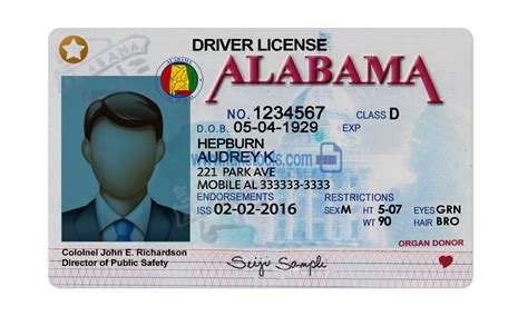 Image result for Alabama Drivers License