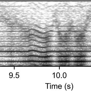 Image result for Voice Spectrogram
