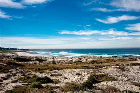 Asilomar State Beach and Conference Grounds | LinkedIn
