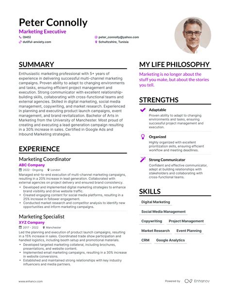 3 Successful Marketing Executive Resume Examples And Writing Tips for 2024
