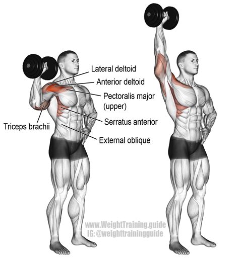 Dumbbell one arm overhead press. A unilateral compound push exercise ...