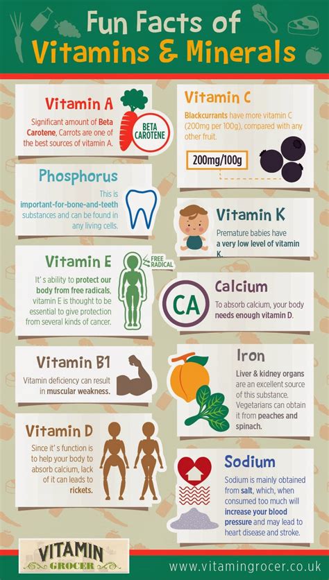 Fun Fact of Vitamin and Mineral | Visual.ly | Fun facts, Multivitamin benefits, Health knowledge