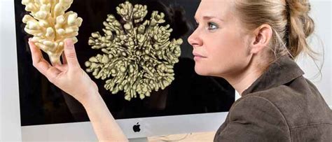 Image result for Van Der Pool Computer Science