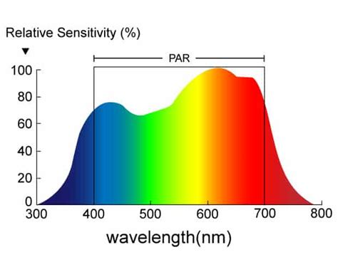 Image result for Spectrum LED PAR Light
