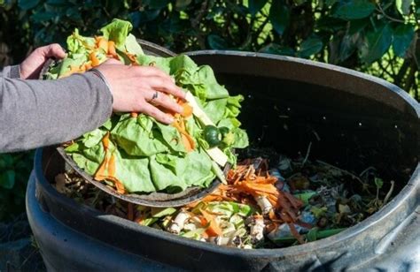 How to Compost 的图像结果