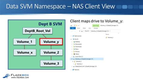 Image result for NetApp FlexVol