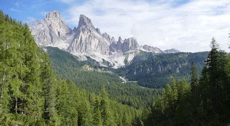 Olympics 的图像结果