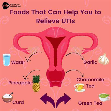 What is the best diet in urinary tract infection?- THIP Media