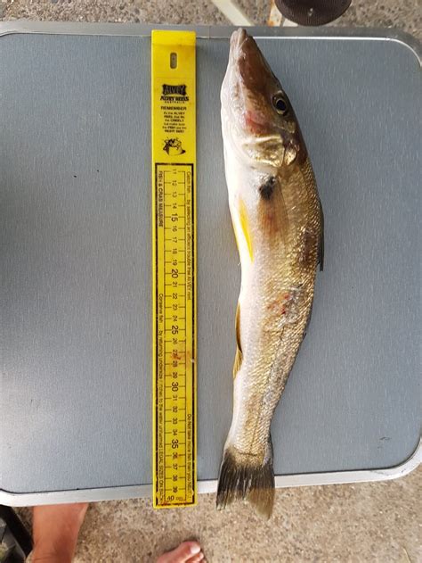 VALLA BEACH HOLIDAY PARK (Nambucca Heads) - Apartment Reviews, Photos ...