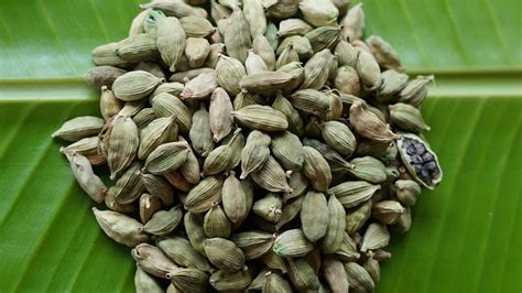 Live Naturally – Teamnature.in