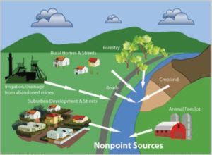 Image result for Nonpoint Source Pollution Examples