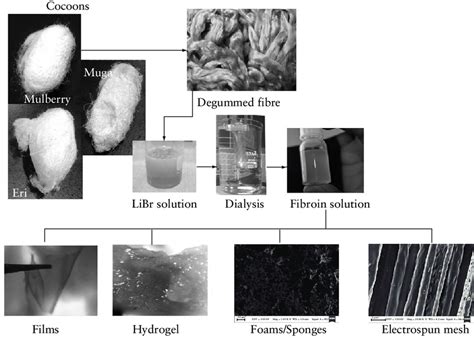 Image result for Silk Processing