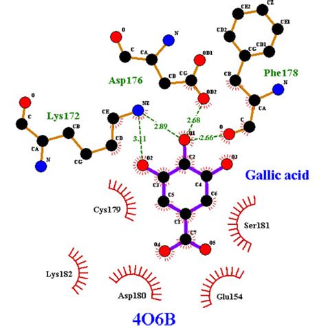 Docking of Dengue Type 2 Virus Non-structural Protein 1 (NS1) and ...