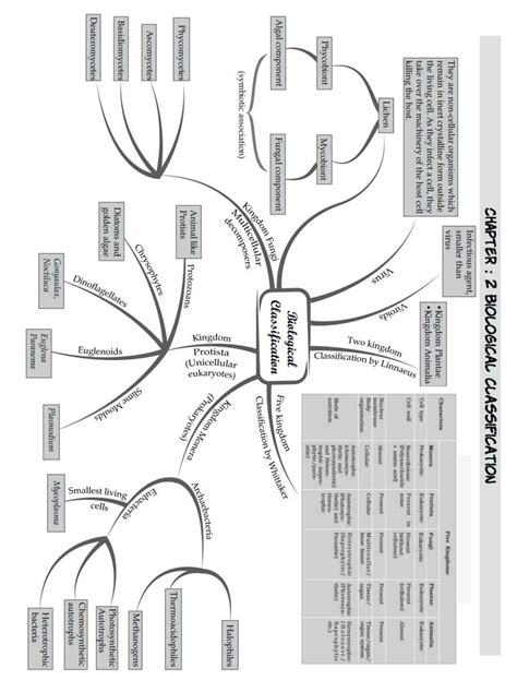 Biology Mind Map 的图像结果