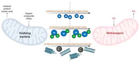 Nano-Biochar as a Sustainable Catalyst for Anaerobic Digestion: A ...