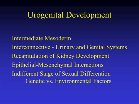 SOLUTION: Development of urogenital - Studypool