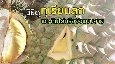 Image result for Java Rice Tray