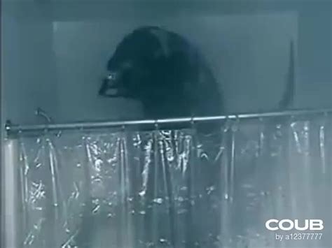 Image result for Alien vs Predator Shower