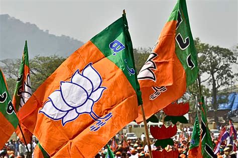 BJP accuses AAP of deceiving voters with false schemes THE NEW INDIAN ...