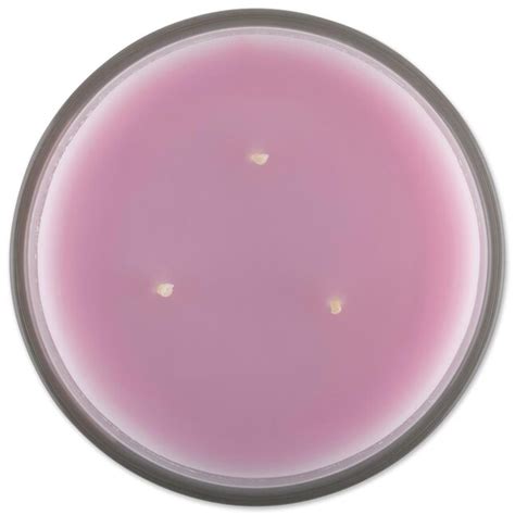 DII 1-Wick Champagne Pink Jar Candle at Lowes.com