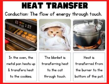 Image result for Conduction Examples Cup