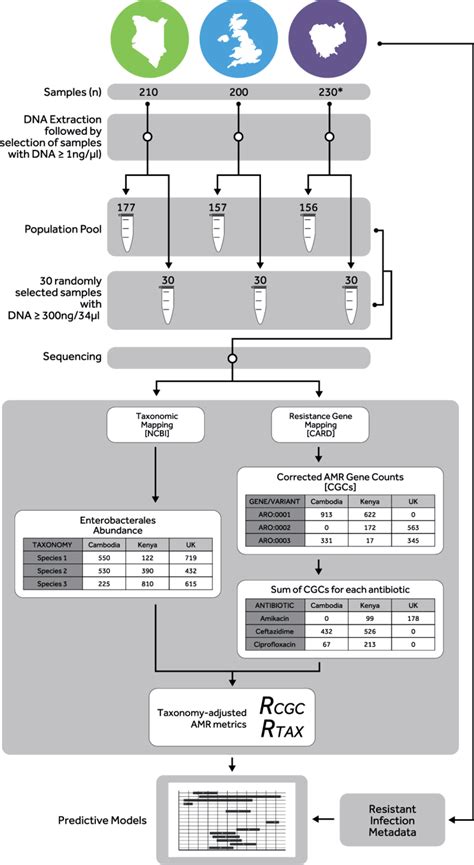 Image result for Data Collection Methods for Study