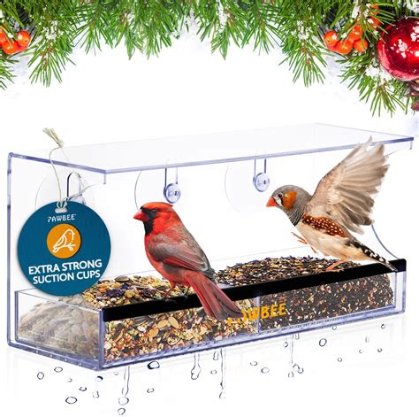 Amazon.com : AIKS Window Bird Feeder with 4 Extra Strong Suction Cups ...