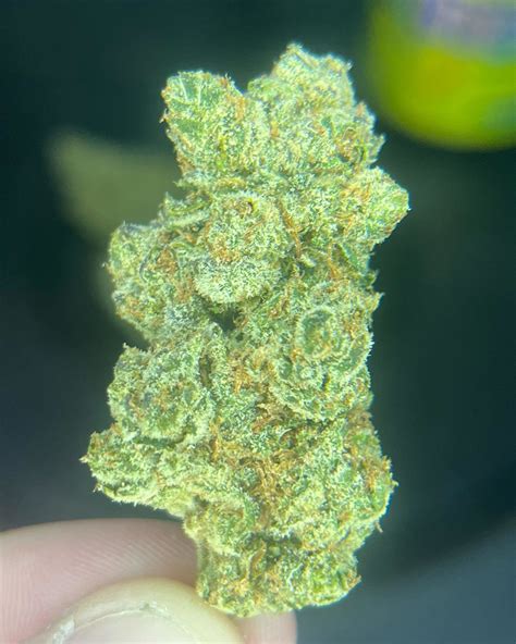 Lemon Head Strain
