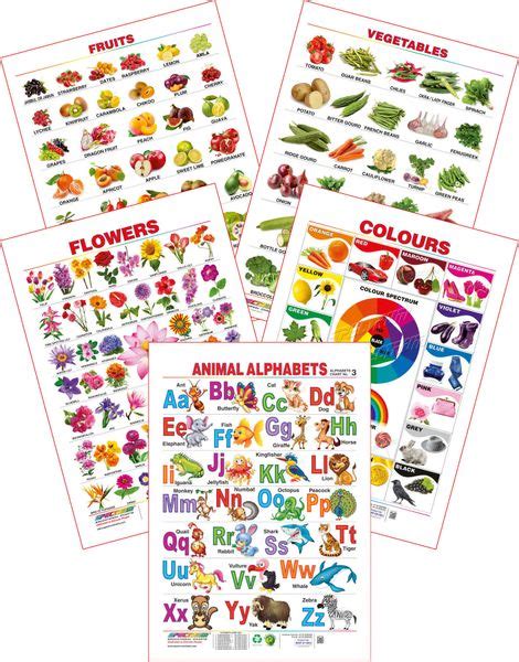 Spectrum Educational Large Wall Charts (Set of 5) : ( Animal Alphabets ...