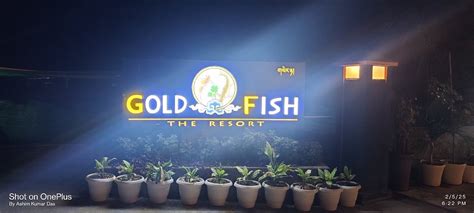 GOLDFISH RESORT & WATERPARK (Gelephu) - Inn Reviews & Photos - Tripadvisor
