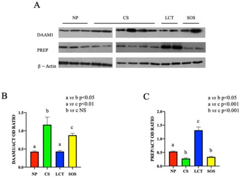IJMS | Special Issue : Germ Cells and Genitourinary Cancers 2.0