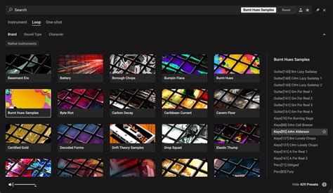 Native Instruments Sample 的图像结果