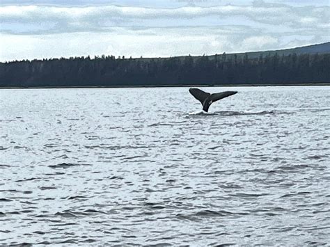 OCEAN RAFT ADVENTURES (2025) All You Need to Know BEFORE You Go (with ...